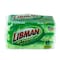 Libman Libman Commercial Medium Duty All-Purpose Sponge, Light Green/Green -, PK8 1076 - alternate 2